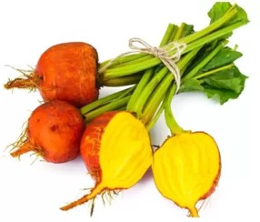 Betabel golden - kg