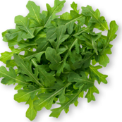 Arugula - kg