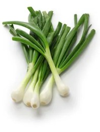 Cebolla cambray - mjo