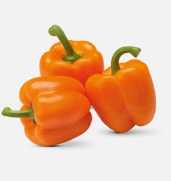 Chile morron naranja - kg