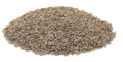 Comino molido - kg