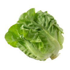 Lechuga francesa - pza