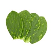 Nopal cambray - kg