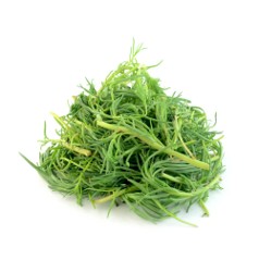 Romeritos - kg