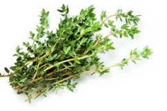 Tomillo - mjo