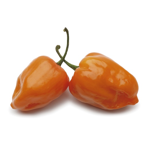 [P9765] Chile habanero naranja- kg