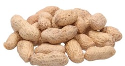 [P3021] Cacahuate con cáscara - kg