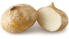 [P1024] Jicama - kg