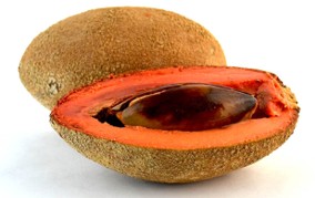 [P1028] Mamey - kg