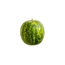 [P1077] Sandia baby - pza
