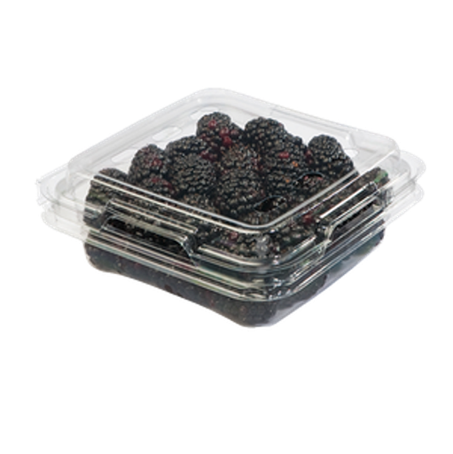 [P1093] Zarzamora - kg