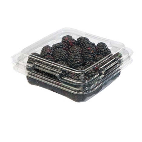 [P1094] Zarzamora charola 170 gr - pza