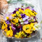 [P2012] Flores comestibles