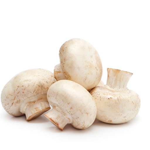 [P2055] CHAMPIÑÓN-KG