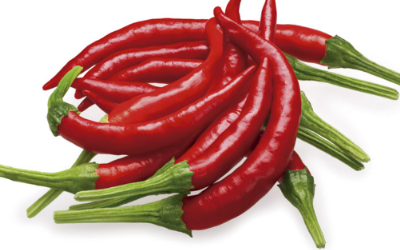 [P2067] Chile de arbol (cambray) - kg