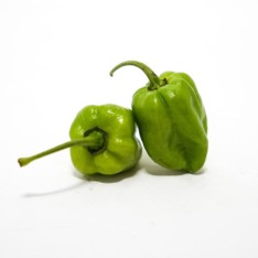 [P2069] Chile habanero verde - kg