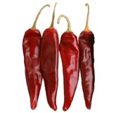 [P3034] Chile guajillo - kg
