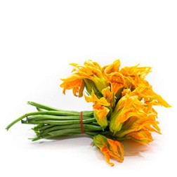 [P2122] Flor de calabaza - mjo