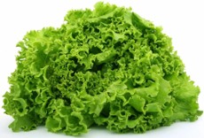[P2134] Lechuga italiana - green leaf - pza