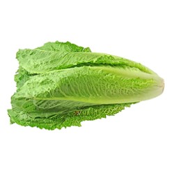 [P2137] Lechuga orejona / larga - pza