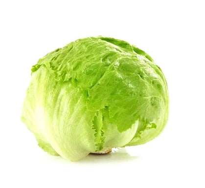 [P2143] Lechuga romana / bola - pza