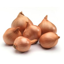[P3084] Ajo Shalot - kg