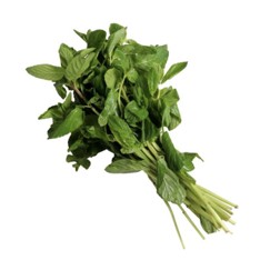 [P4030] Menta - mjo