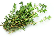 [P4043] Tomillo - kg