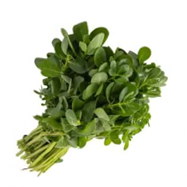 [P4045] Verdolaga - kg