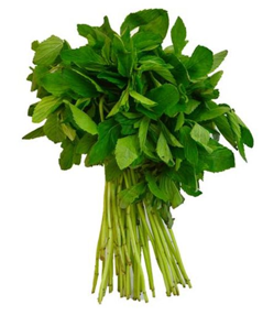 [P4047] Hierbabuena - kg